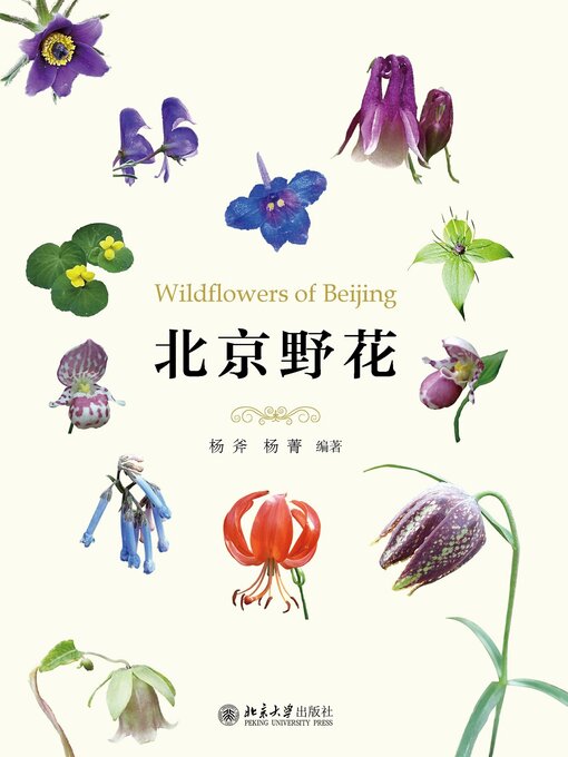 Title details for 北京野花 by 杨斧 - Available